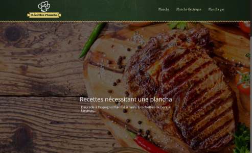 https://www.recettes-plancha.com